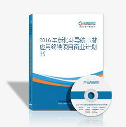 2016年版北斗导航下游应用终端项目商业计划书